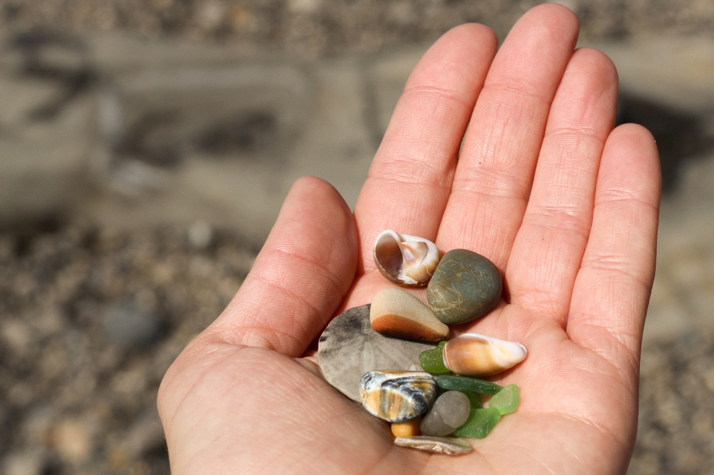 A hand holding small shells, smooth stones, and green sea glass