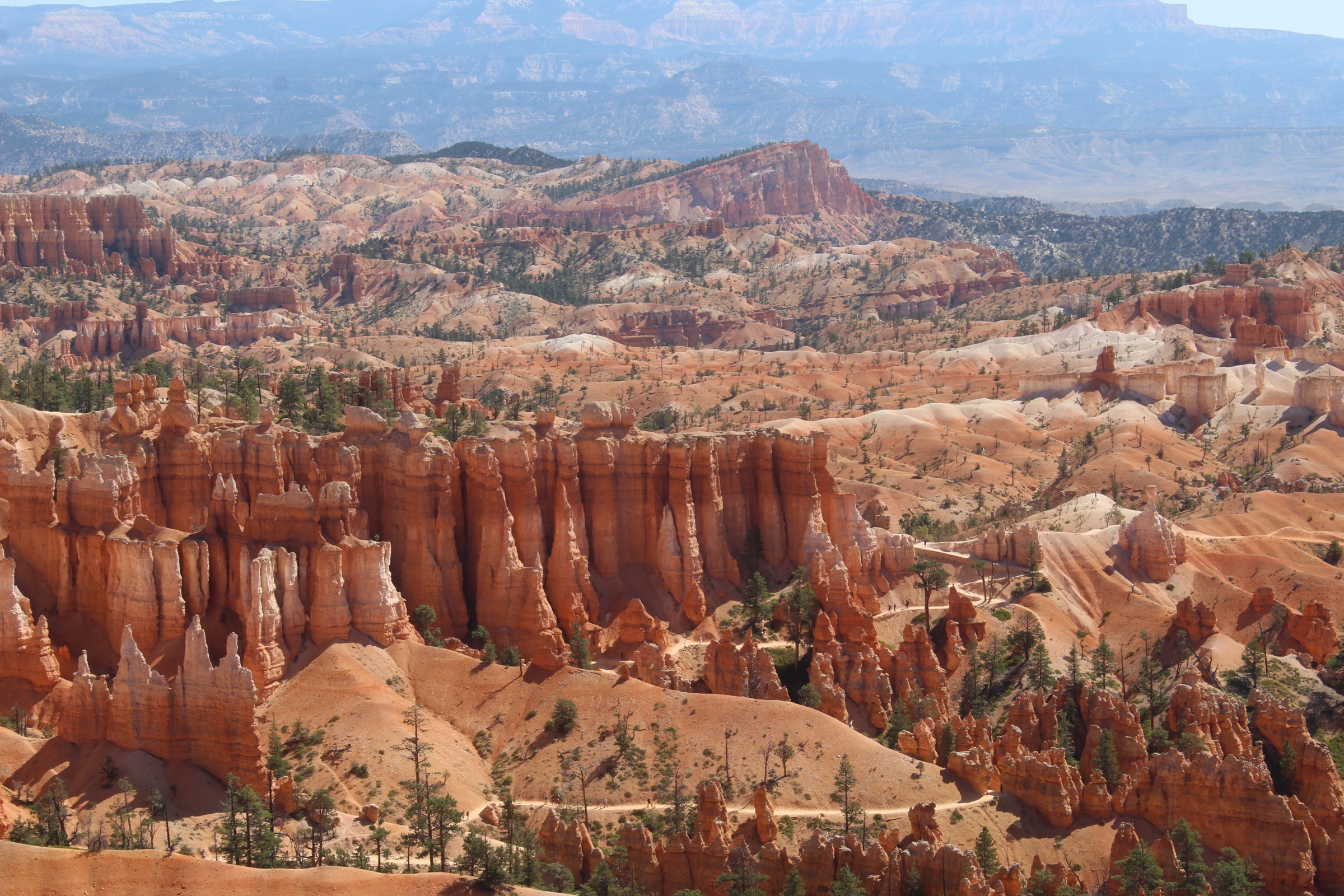 A wide view across the layered hoodoos of Bryce Canyon