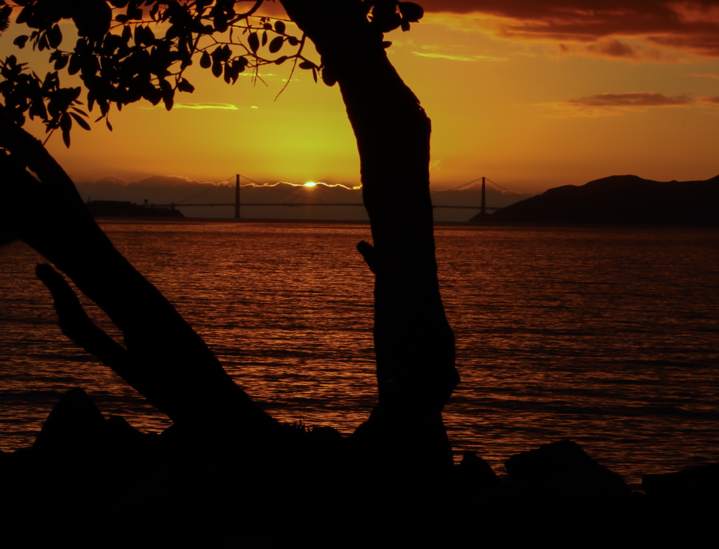 The Golden Gate Bridge at sunset, framed by dark tree silhouettes
