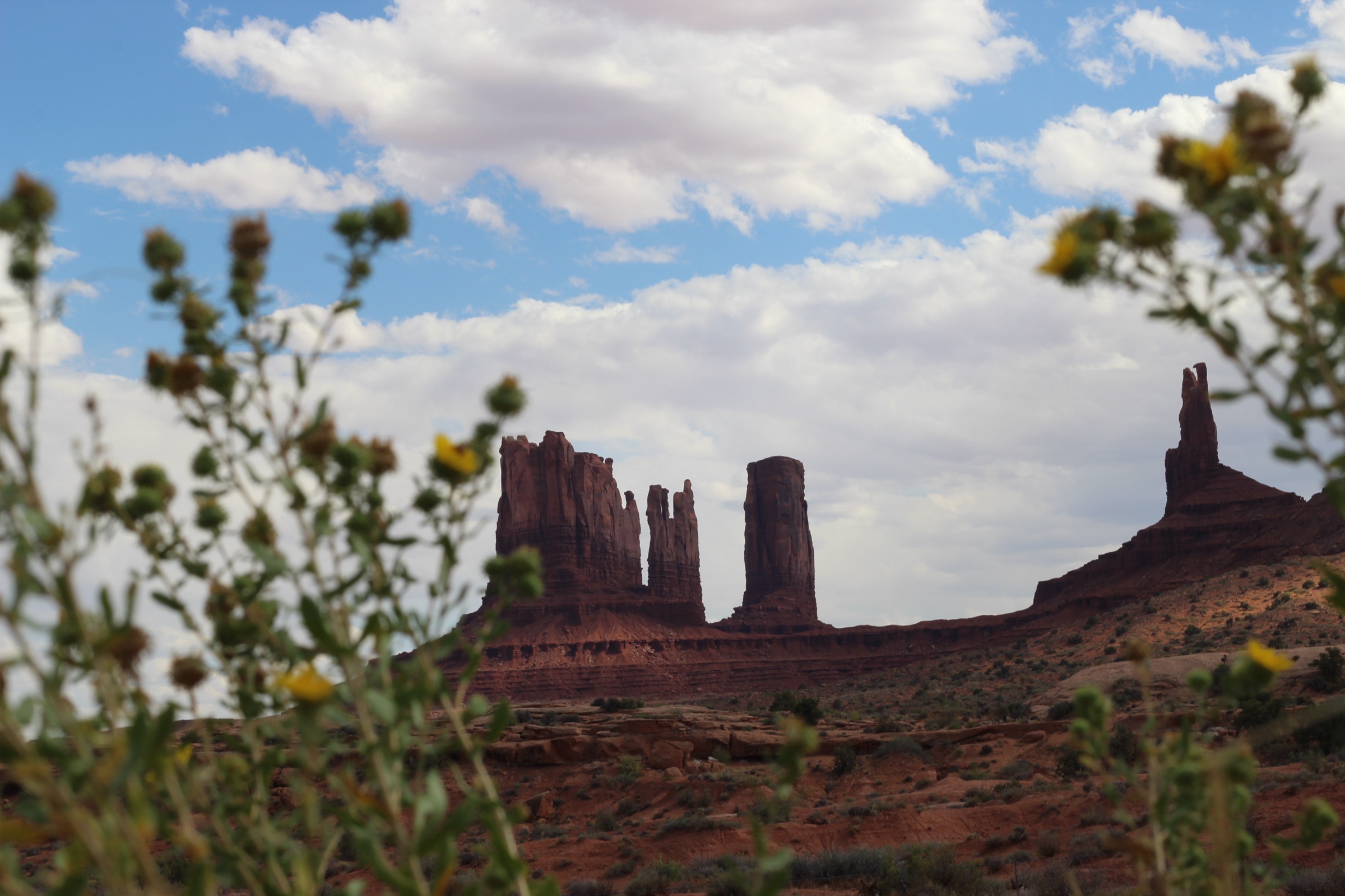 Monument Valley rock formations framed by soft-focus wildflowers