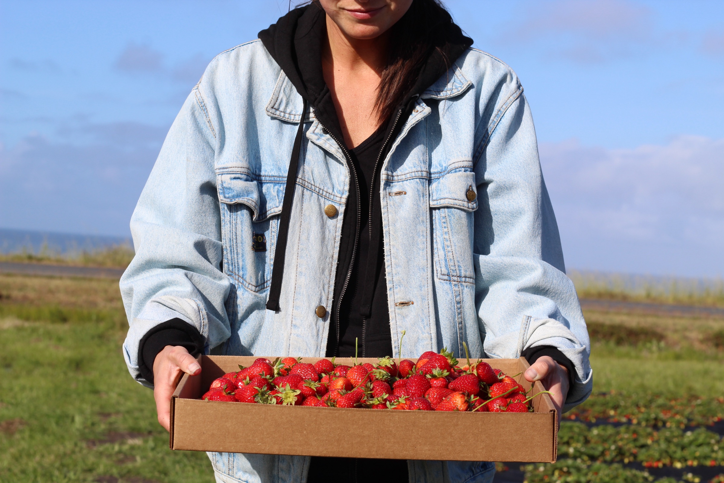 A person holding a full box of freshly picked red strawberries